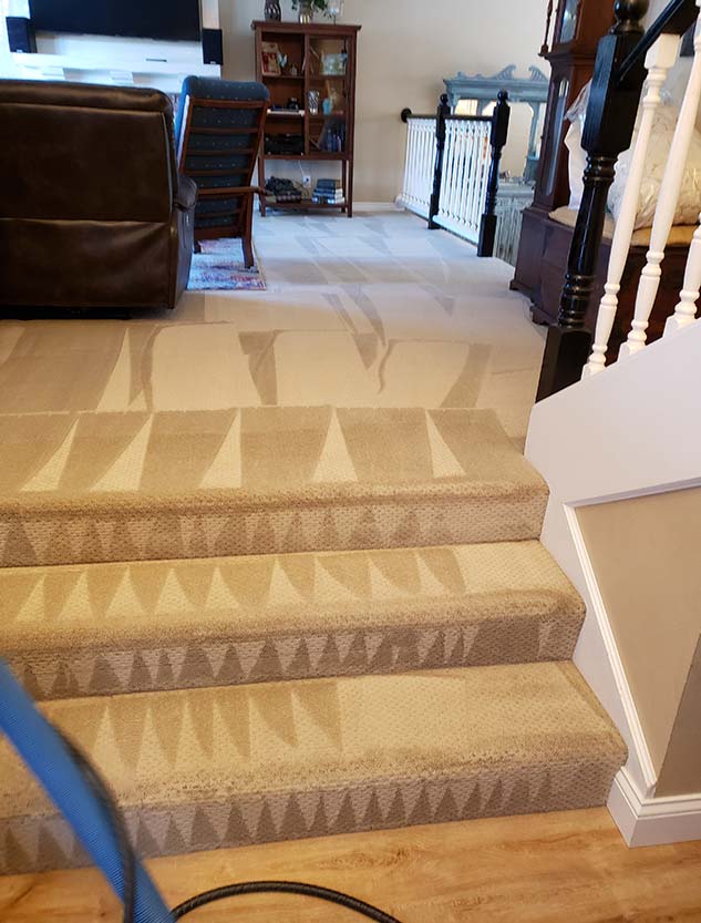 Carpet Cleaning Camarillo