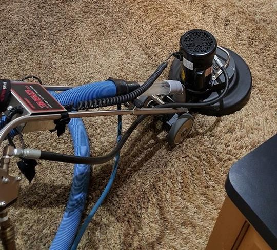 What Makes the Best Rug Cleaner in Camarillo, CA Stand Out?