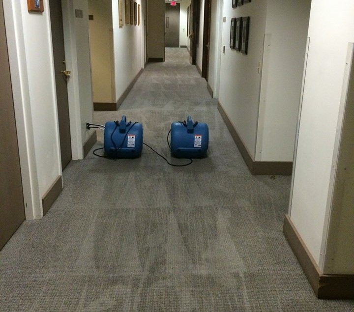 Expert Carpet Cleaning Services in Camarillo, CA