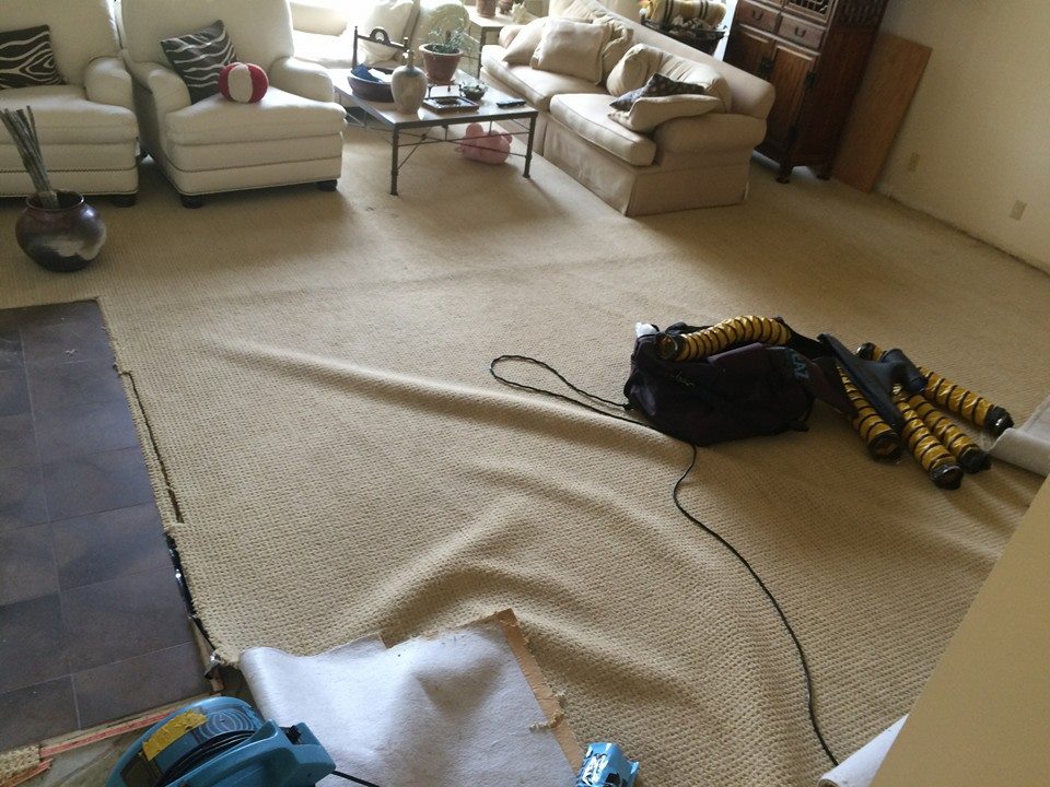 Reliable Carpet Cleaner in Camarillo, CA