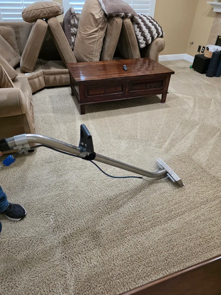 A Homeowner’s Guide to Choosing Reliable Carpet Cleaning Services in Camarillo