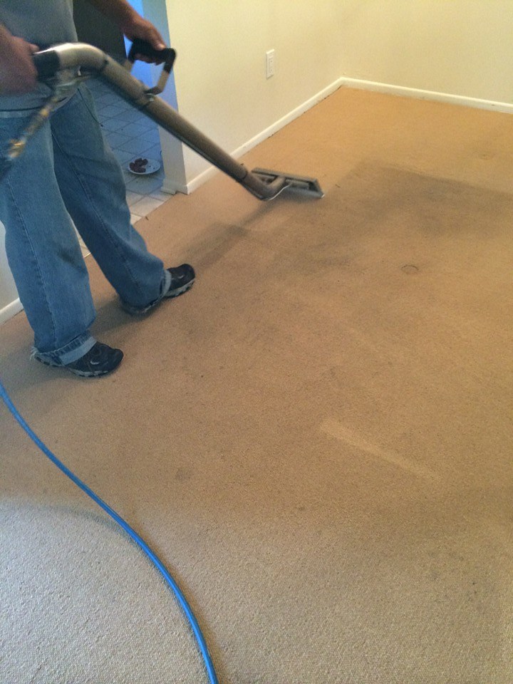 Best Carpet Cleaning Methods for Homes in Camarillo’s Climate