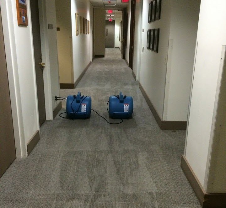 Best Commercial Carpet Cleaning in Camarillo, CA for Businesses | Steam Express