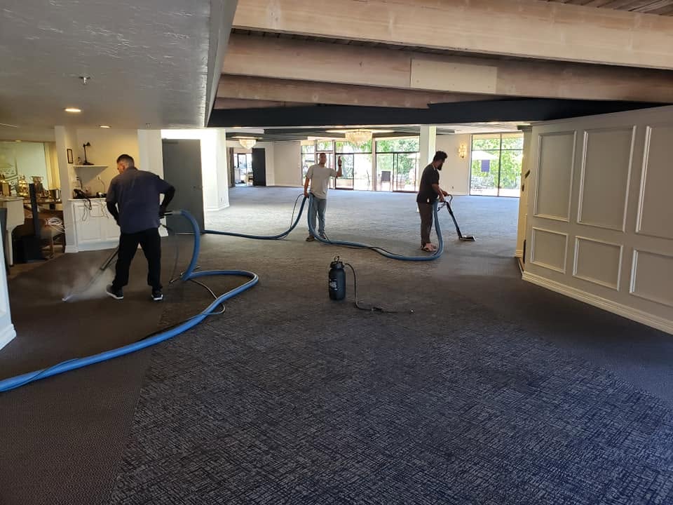 Professional Carpet Cleaning in Camarillo, CA | Steam Express
