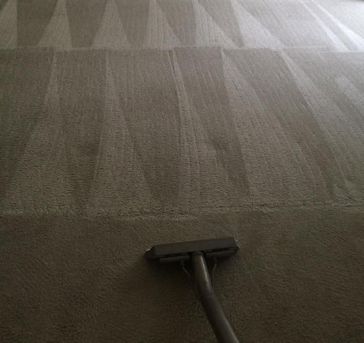 Professional Carpet Cleaning in Camarillo, CA | Steam Express