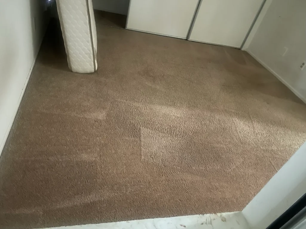DIY Carpet Cleaning vs Professional Carpet Cleaning in Camarillo, CA